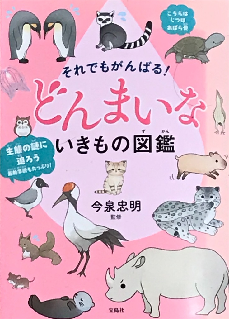 f:id:oomori662:20191116082216j:image f:id:oomori662:20191116082216j:image