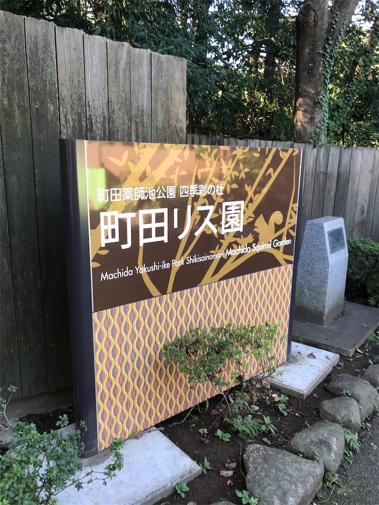 f:id:oomori662:20191116163752j:image f:id:oomori662:20191116163752j:image
