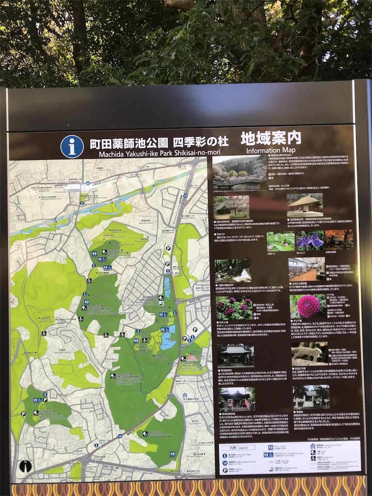 f:id:oomori662:20191116163757j:image f:id:oomori662:20191116163757j:image