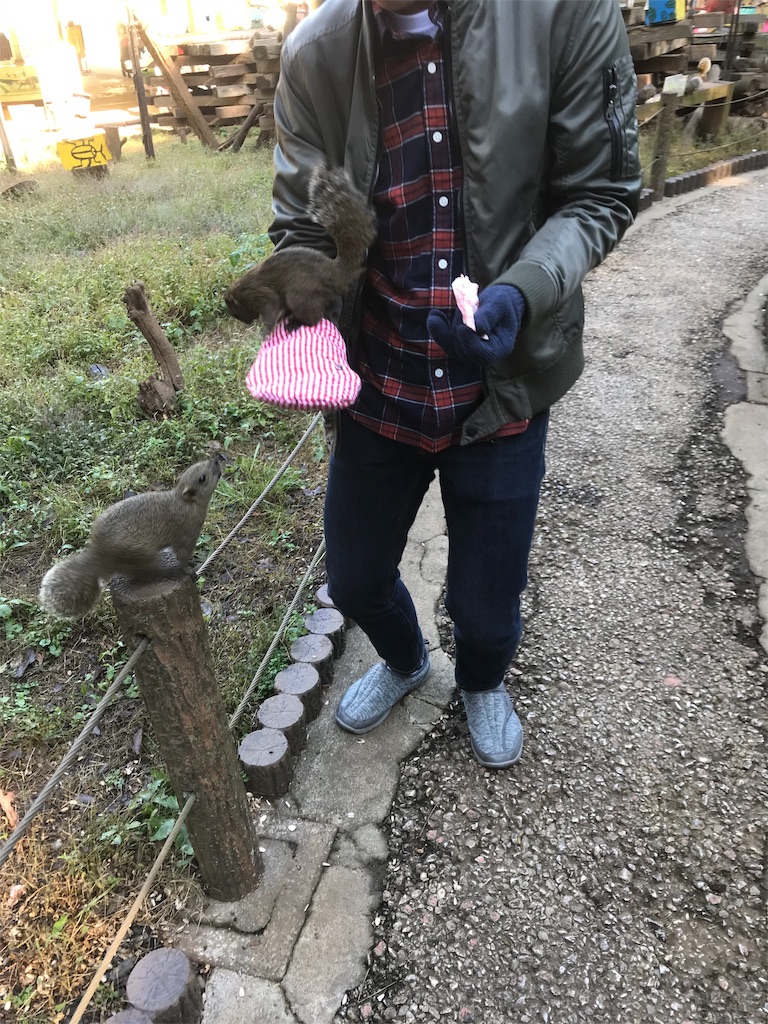 f:id:oomori662:20191116174056j:image f:id:oomori662:20191116174056j:image