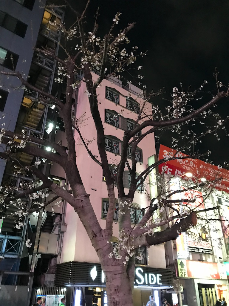 f:id:oomori662:20200319084132j:image f:id:oomori662:20200319084132j:image
