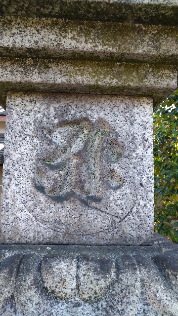 f:id:oomorigijyou:20201005065233j:image f:id:oomorigijyou:20201005065233j:image