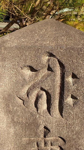 f:id:oomorigijyou:20201214071823j:image f:id:oomorigijyou:20201214071823j:image