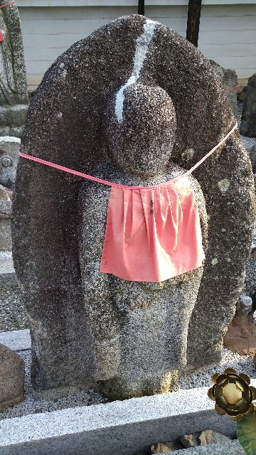 f:id:oomorigijyou:20210407062828j:image f:id:oomorigijyou:20210407062828j:image