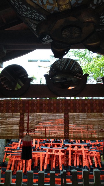 f:id:oomorigijyou:20210430080310j:image