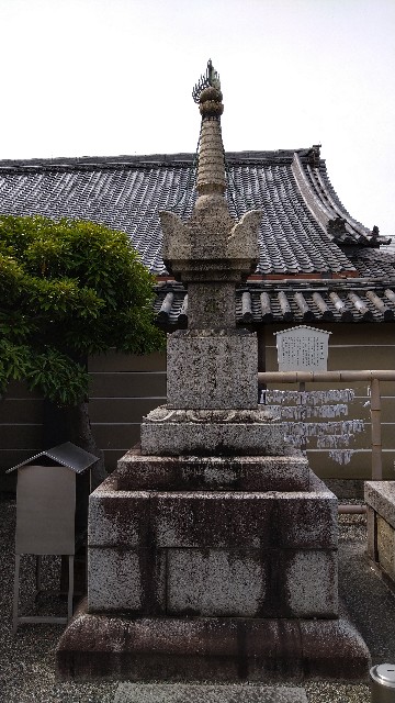 f:id:oomorigijyou:20210527060650j:image f:id:oomorigijyou:20210527060650j:image