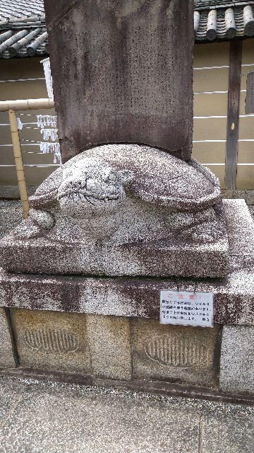 f:id:oomorigijyou:20210527060730j:image f:id:oomorigijyou:20210527060730j:image