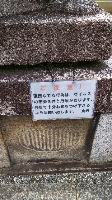 f:id:oomorigijyou:20210527060802j:image f:id:oomorigijyou:20210527060802j:image