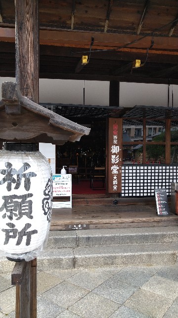 f:id:oomorigijyou:20210527061145j:image f:id:oomorigijyou:20210527061145j:image