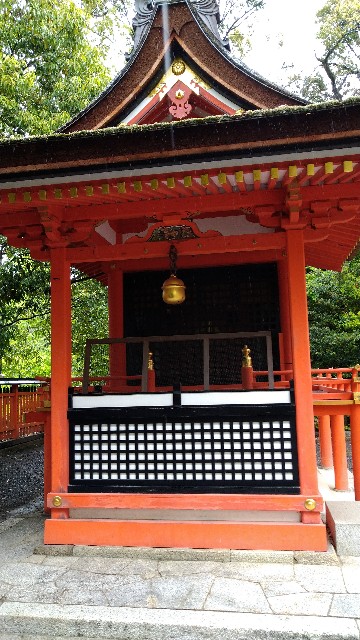 f:id:oomorigijyou:20210527070347j:image