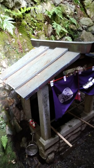 f:id:oomorigijyou:20210528175715j:image