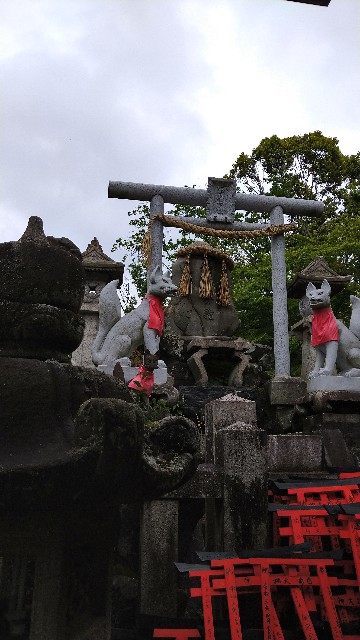 f:id:oomorigijyou:20210607203909j:image