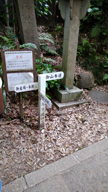 f:id:oomorigijyou:20210609084415j:image f:id:oomorigijyou:20210609084415j:image