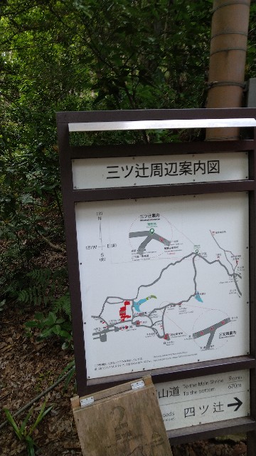 f:id:oomorigijyou:20210609084509j:image f:id:oomorigijyou:20210609084509j:image