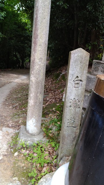 f:id:oomorigijyou:20210609085203j:image f:id:oomorigijyou:20210609085203j:image