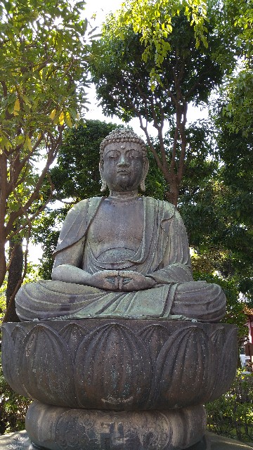 f:id:oomorigijyou:20211004080609j:image f:id:oomorigijyou:20211004080609j:image