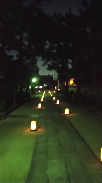 f:id:oomorigijyou:20211005224452j:image f:id:oomorigijyou:20211005224452j:image