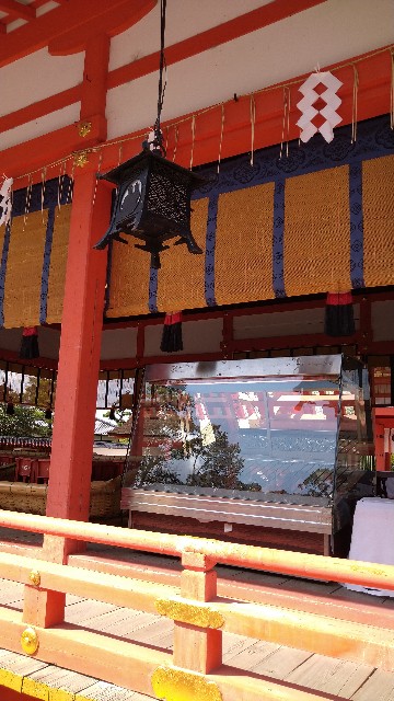 f:id:oomorigijyou:20211009180546j:image f:id:oomorigijyou:20211009180546j:image