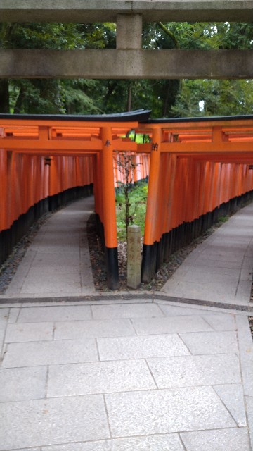 f:id:oomorigijyou:20211015064703j:image f:id:oomorigijyou:20211015064703j:image