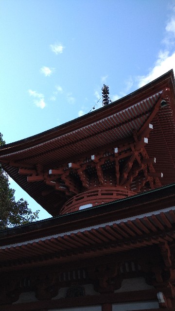 f:id:oomorigijyou:20211109060733j:image f:id:oomorigijyou:20211109060733j:image