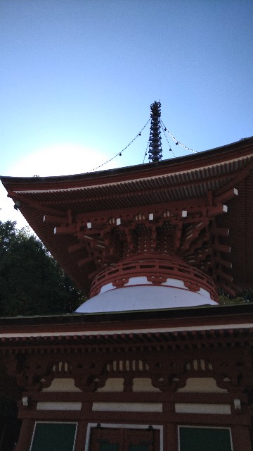 f:id:oomorigijyou:20220117064644j:image f:id:oomorigijyou:20220117064644j:image