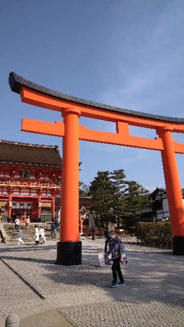 f:id:oomorigijyou:20220310170130j:image