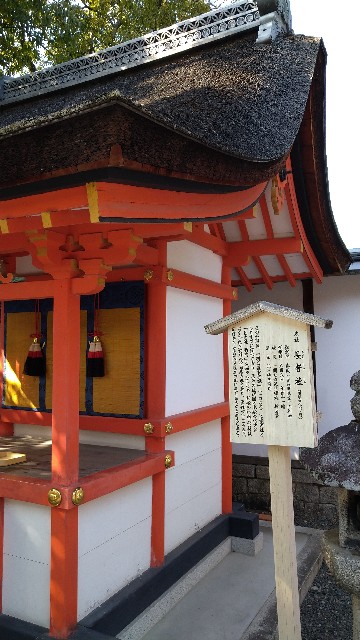 f:id:oomorigijyou:20220310170740j:image