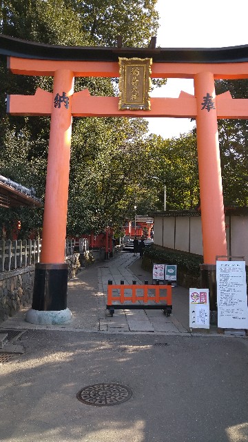 f:id:oomorigijyou:20220310171134j:image