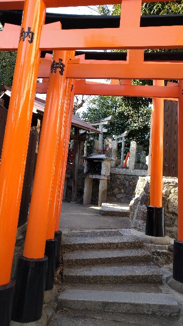 f:id:oomorigijyou:20220310171248j:image