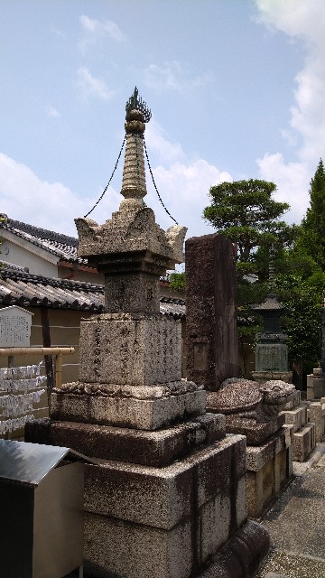 f:id:oomorigijyou:20220618101212j:image f:id:oomorigijyou:20220618101212j:image