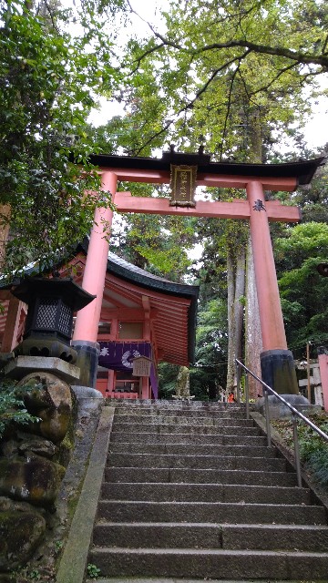 f:id:oomorigijyou:20221123211237j:image