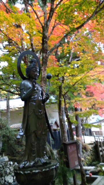 f:id:oomorigijyou:20221201201658j:image f:id:oomorigijyou:20221201201658j:image