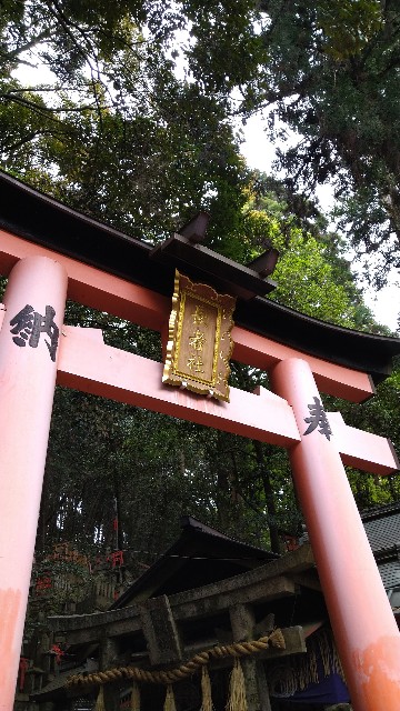 f:id:oomorigijyou:20230516091747j:image