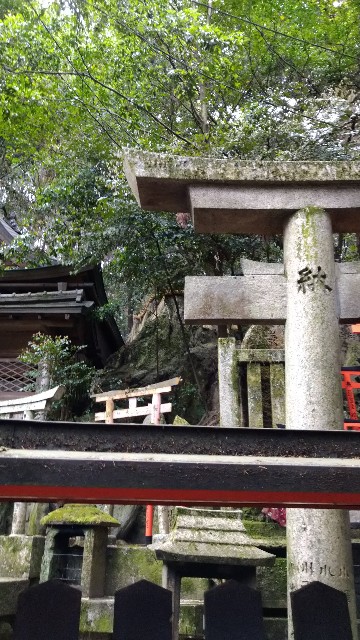 f:id:oomorigijyou:20230516091817j:image