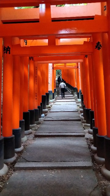 f:id:oomorigijyou:20230516091921j:image