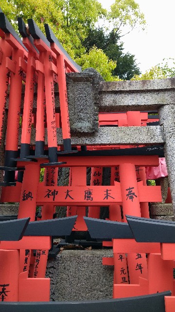 f:id:oomorigijyou:20230516230330j:image