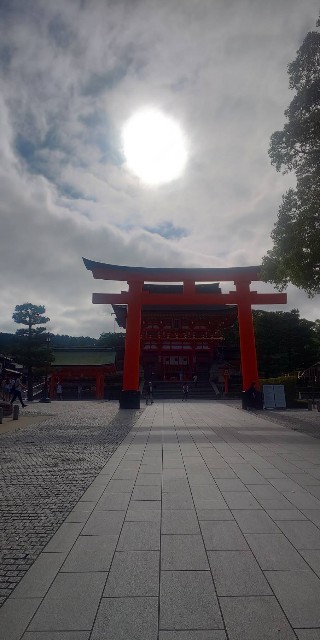 f:id:oomorigijyou:20230702095216j:image