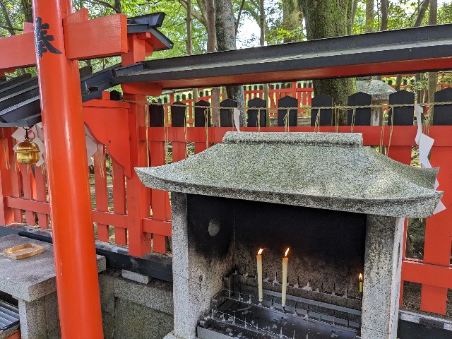 f:id:oomorigijyou:20230811060221j:image