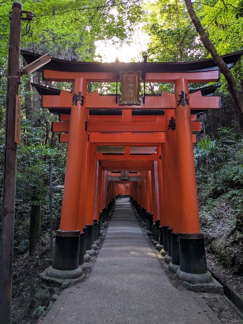 f:id:oomorigijyou:20230811060223j:image