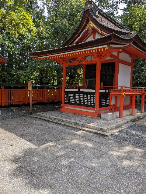 f:id:oomorigijyou:20230811060225j:image