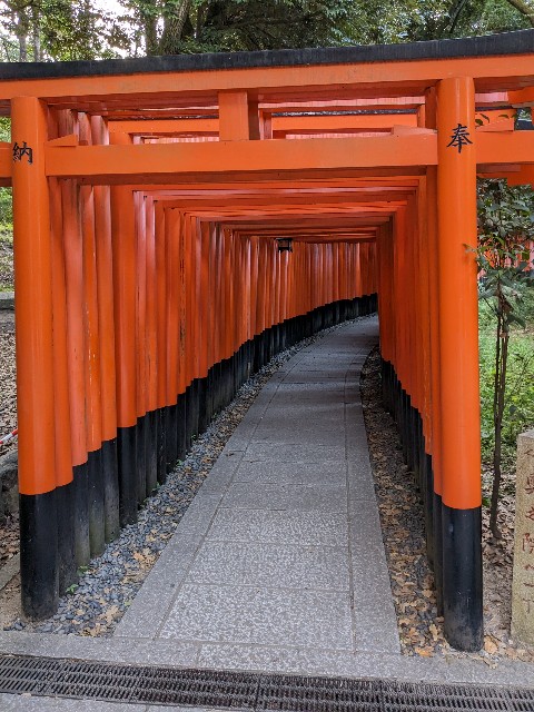 f:id:oomorigijyou:20231010191548j:image f:id:oomorigijyou:20231010191548j:image