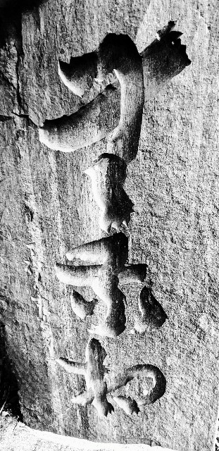 f:id:oomorigijyou:20231104064253j:image