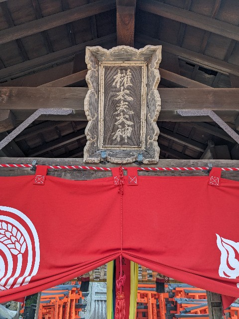 f:id:oomorigijyou:20240426132959j:image