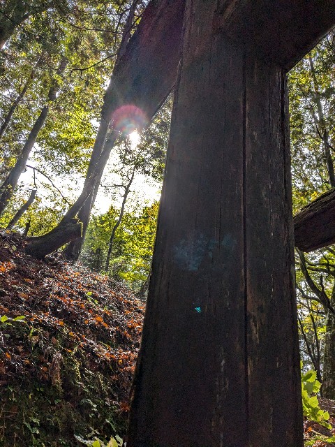 f:id:oomorigijyou:20241031210620j:image