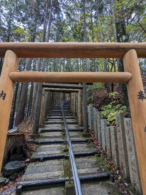 f:id:oomorigijyou:20241031210623j:image