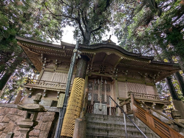 f:id:oomorigijyou:20241031210646j:image