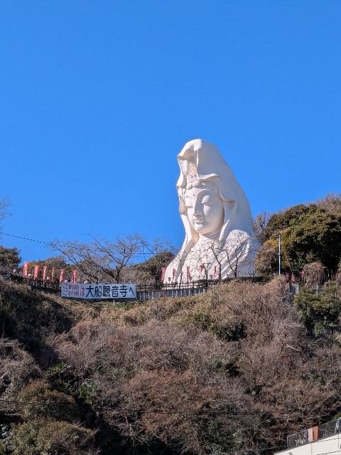 f:id:oomorigijyou:20250221174044j:image