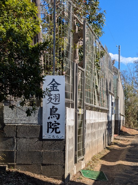 f:id:oomorigijyou:20250221174111j:image