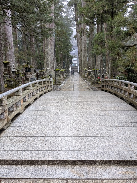 f:id:oomorigijyou:20250320162425j:image f:id:oomorigijyou:20250320162425j:image