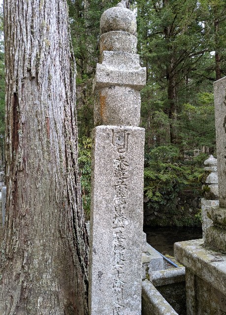 f:id:oomorigijyou:20250412115300j:image f:id:oomorigijyou:20250412115300j:image